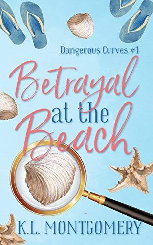 Betrayal at the Beach: A Cozy Christian Mystery