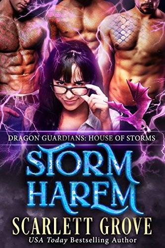 Storm Harem: House of Storms (Reverse Harem Romance)